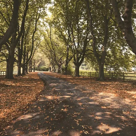 Dom wakacyjny 4 Bed In 55738