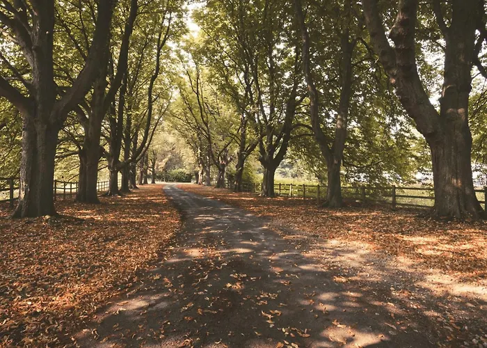 Hébergement de vacances 4 Bed In 55738